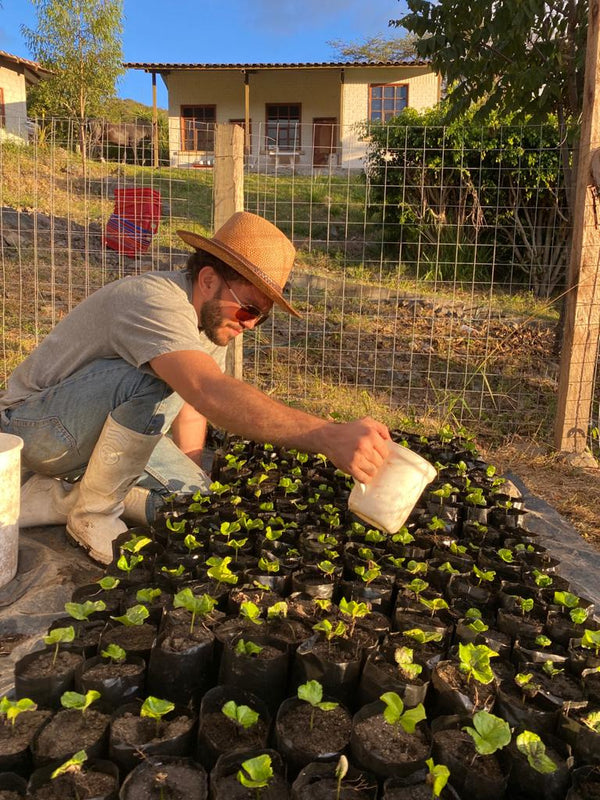 Ecuador - The COVENANT